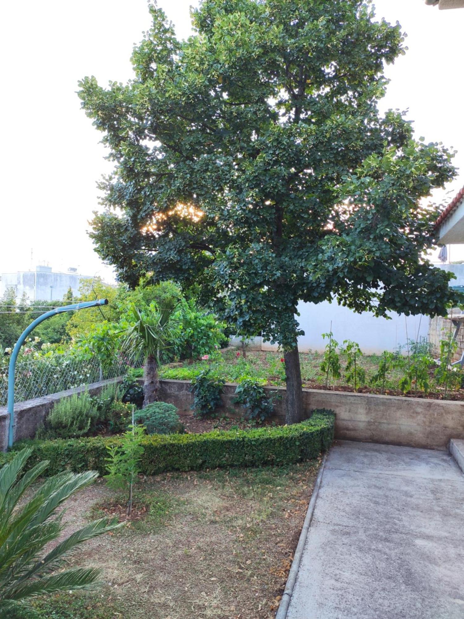 Apartment With Private Garden And The Terrace Ev Station Available تْسْغيكفانِتْسا المظهر الخارجي الصورة