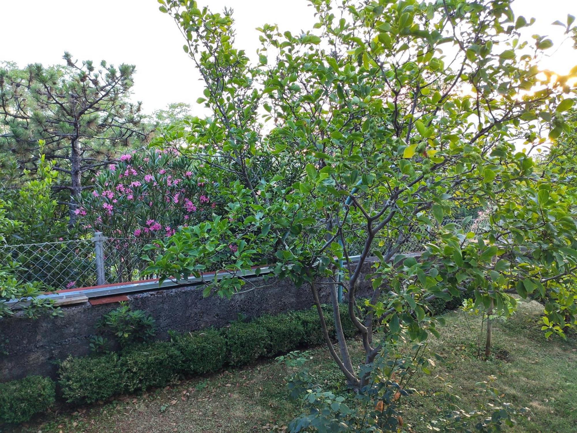 Apartment With Private Garden And The Terrace Ev Station Available تْسْغيكفانِتْسا المظهر الخارجي الصورة